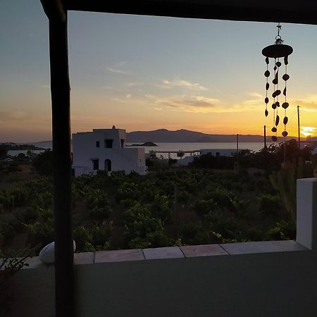 Matina'S Vineyard Hotel Mikri Vigla Room photo