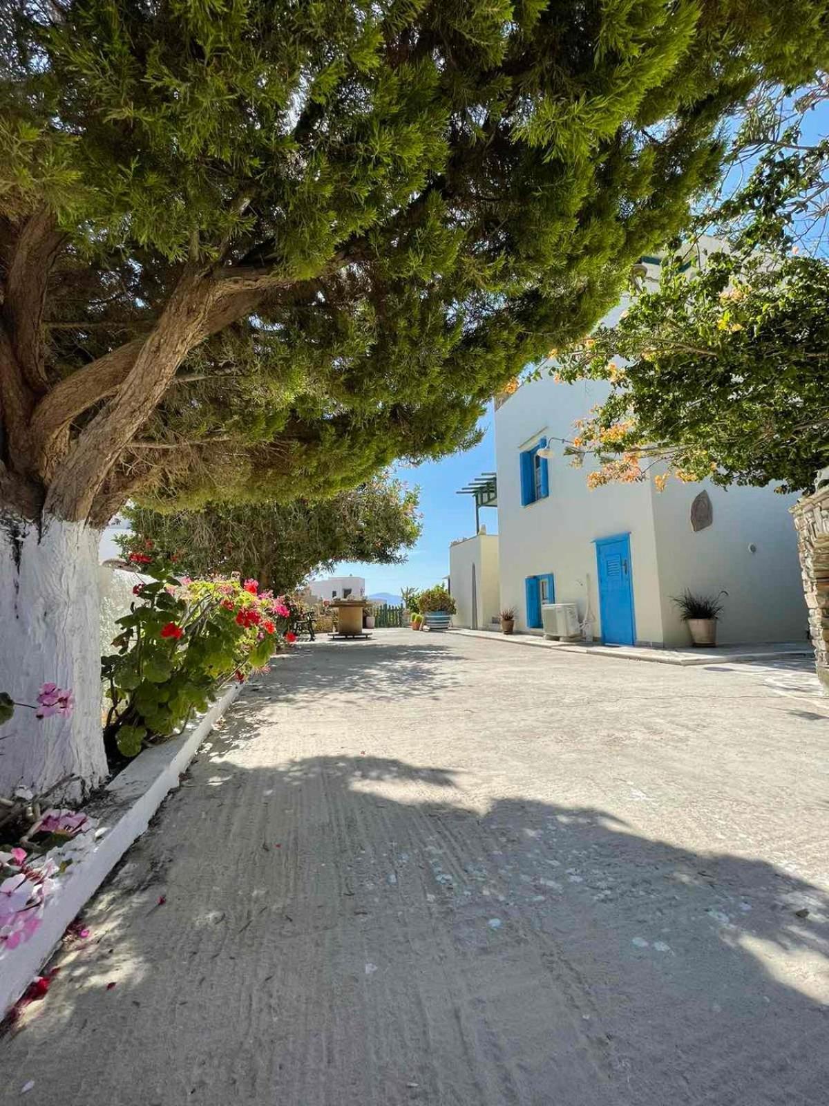 Matina'S Vineyard Hotel Mikri Vigla Exterior photo