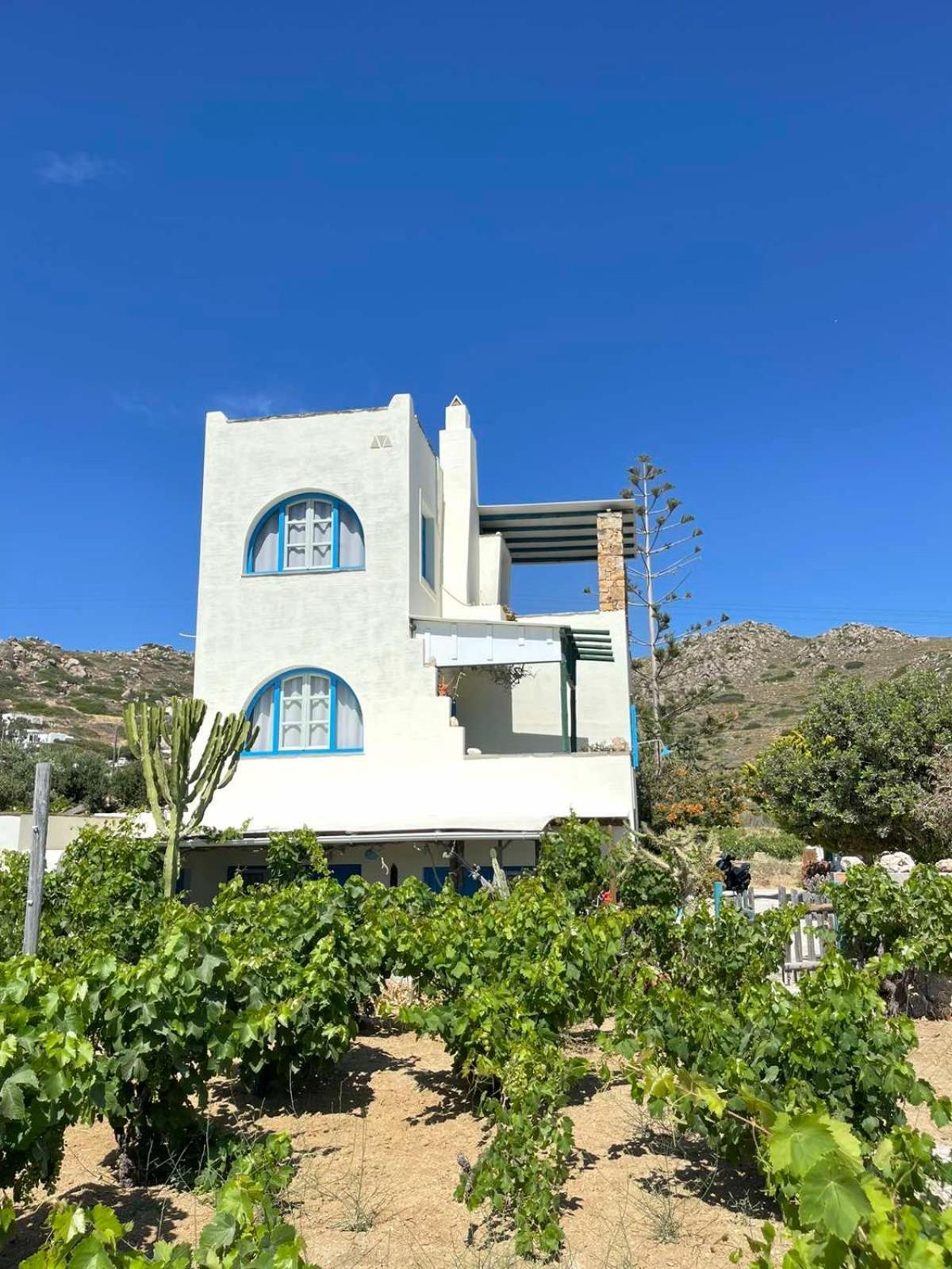 Matina'S Vineyard Hotel Mikri Vigla Exterior photo